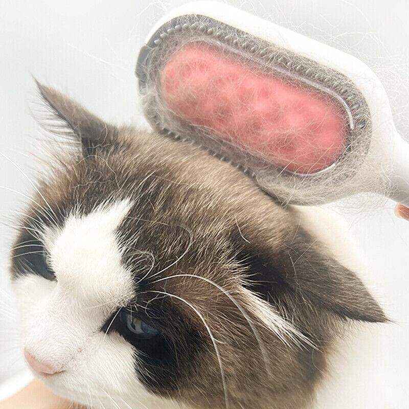 Cat Deshedding Brushes for Effortless Grooming Hair Removal