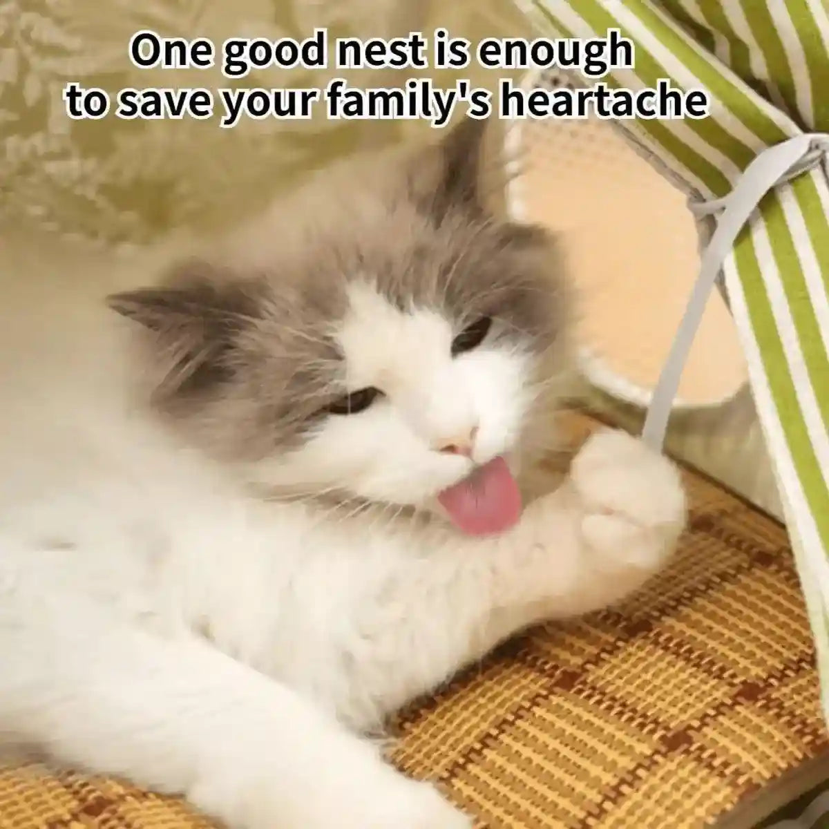 Cozy Semi-Closed Cat Tent Comfortable & Private Pet Bed for Cats and Dogs