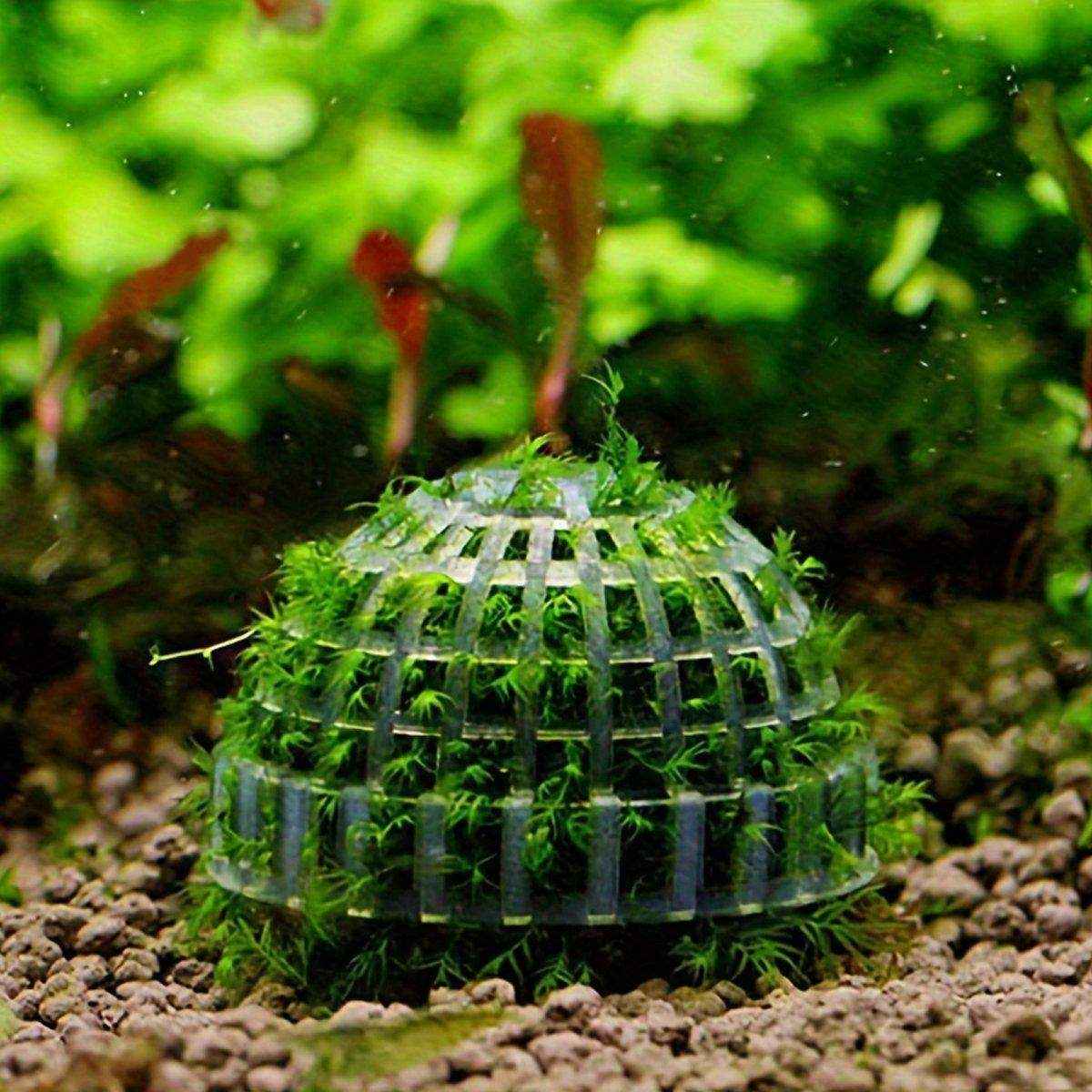 Moss Hemisphere Combination Suspension MOSS Binding-free