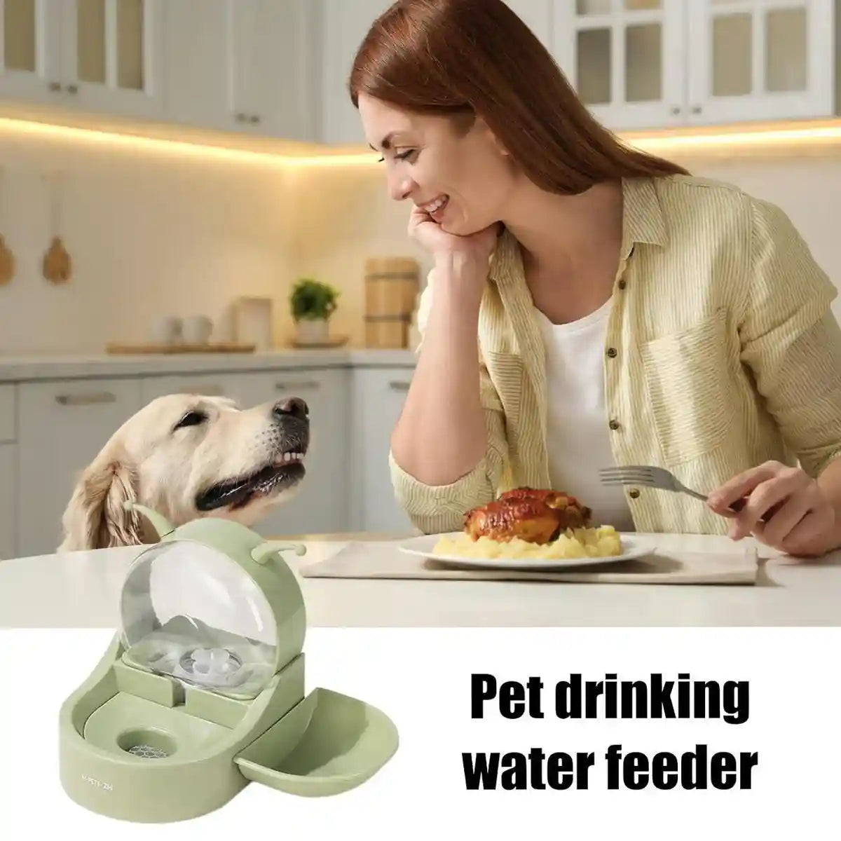 Automatic Pet Water Dispenser With Filter