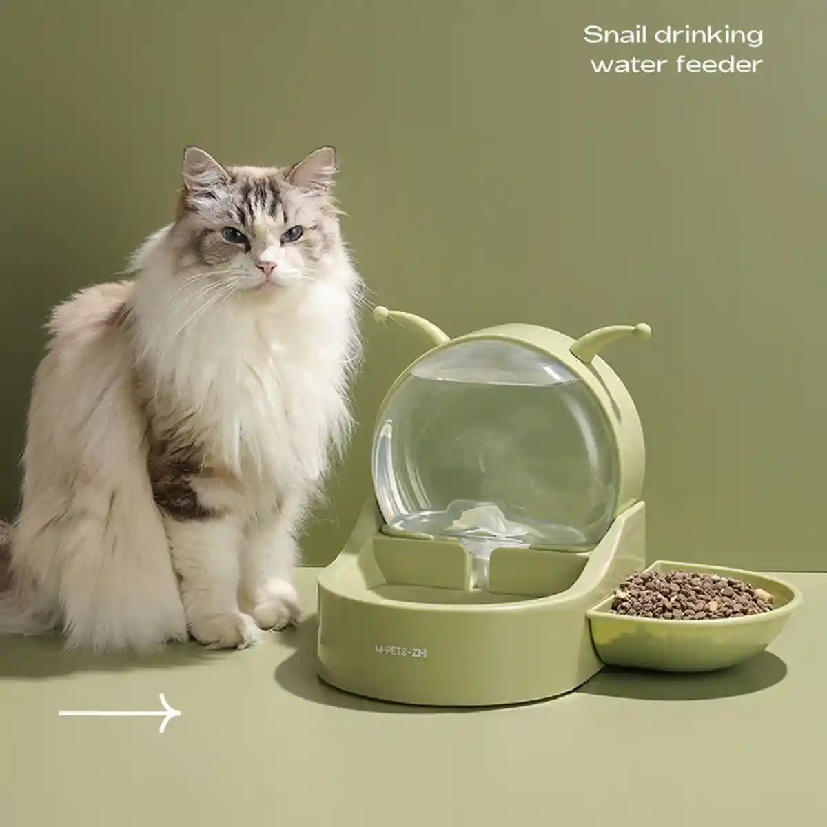 Automatic Pet Water Dispenser With Filter