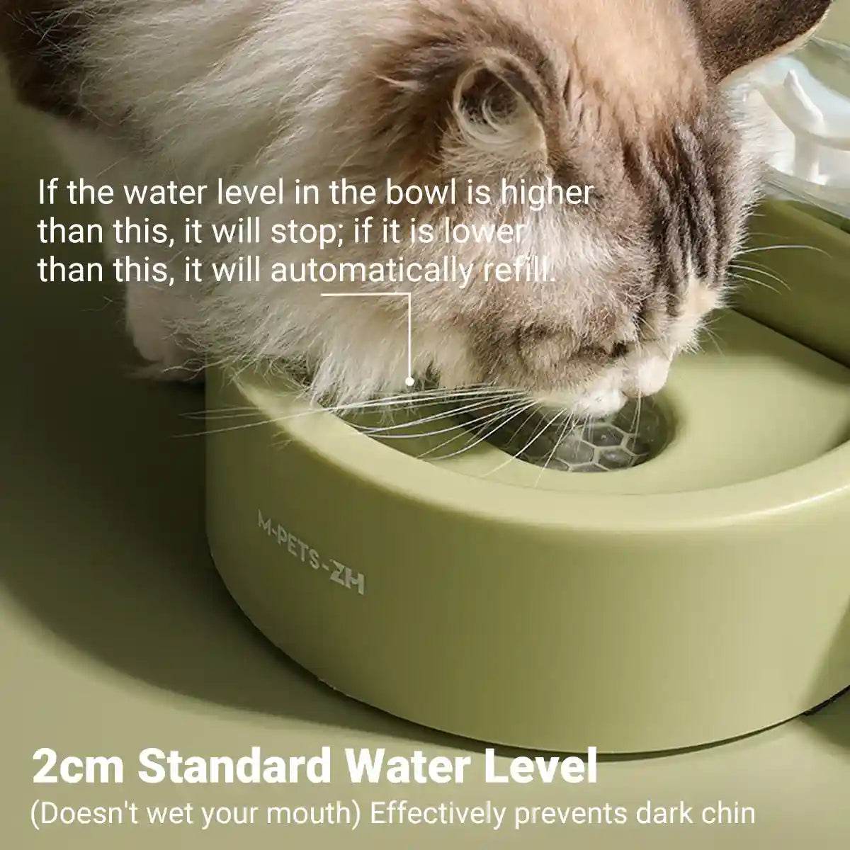 Automatic Pet Water Dispenser With Filter