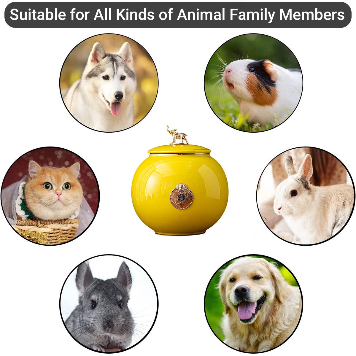 Pet Urn Medium - Memorial Keepsake Urn for Cat & Dog Ashes