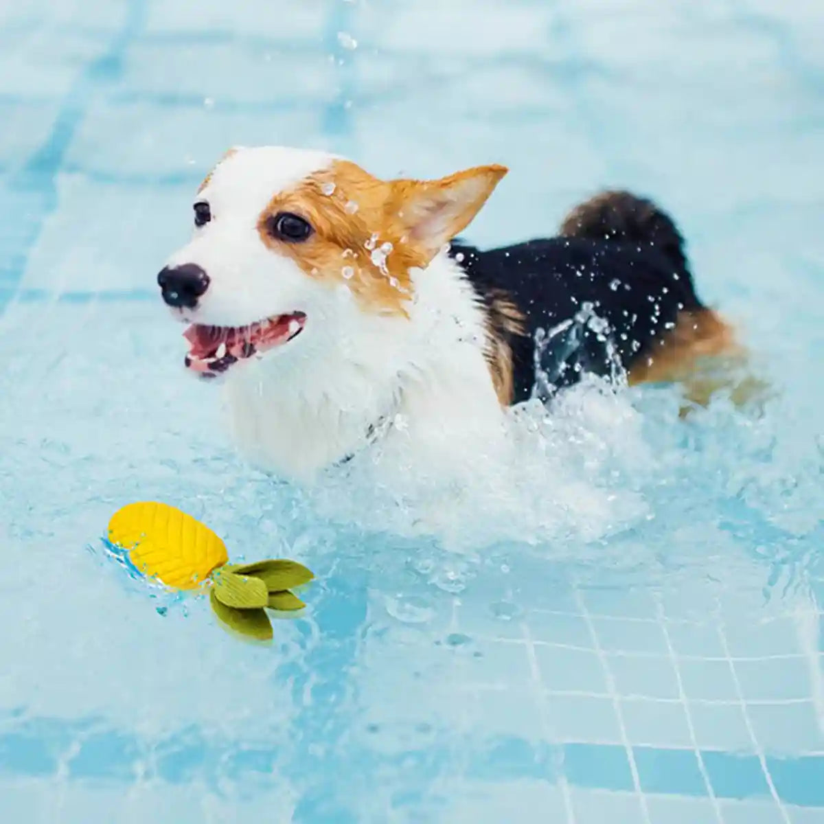 Durable Pineapple Dog Chew Toy Squeaky & Teeth Cleaning Toy