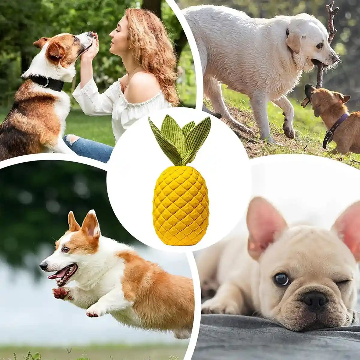 Durable Pineapple Dog Chew Toy Squeaky & Teeth Cleaning Toy