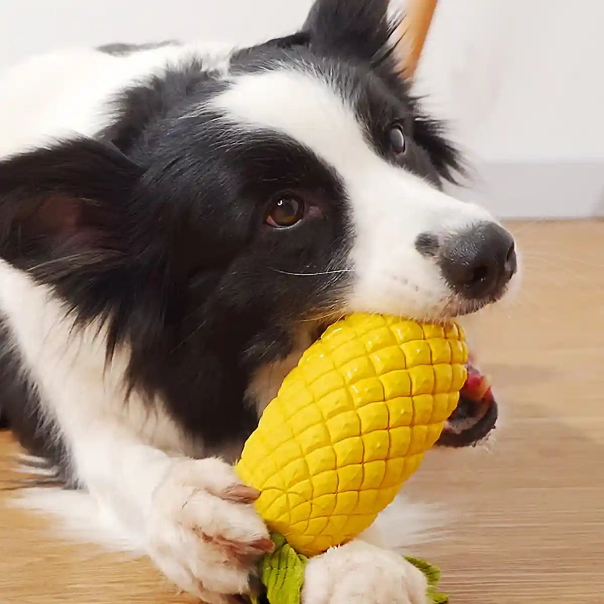 Durable Pineapple Dog Chew Toy Squeaky & Teeth Cleaning Toy