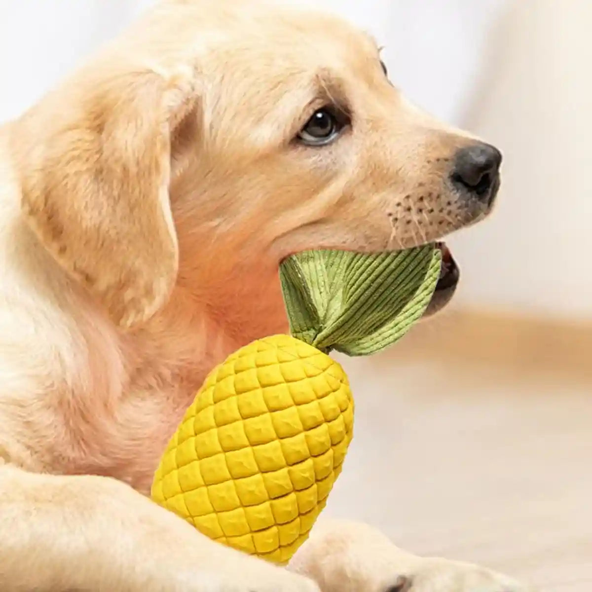 Durable Pineapple Dog Chew Toy Squeaky & Teeth Cleaning Toy