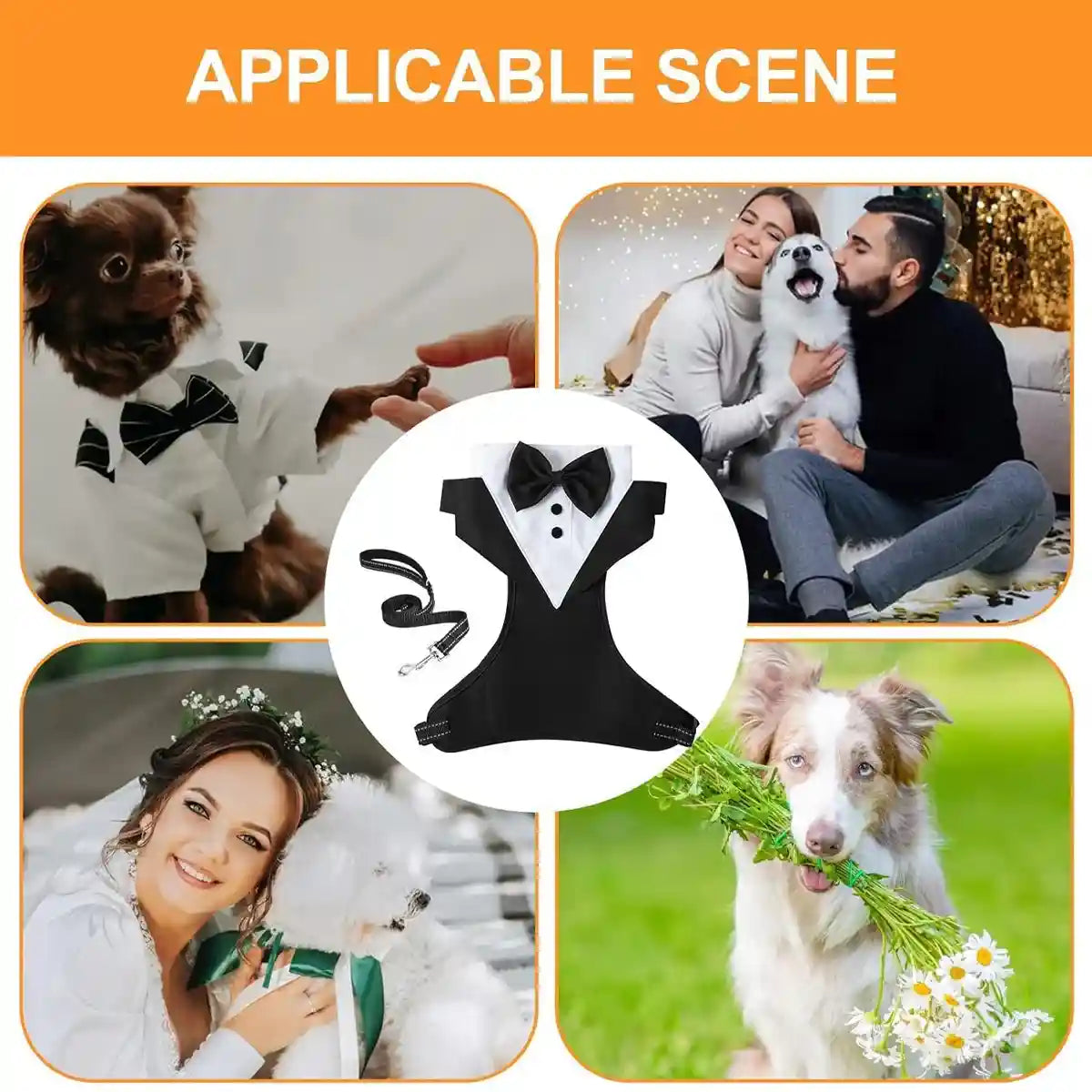 Adjustable Dog Harness and Leash Set with Bowtie No-Pull Vest Design