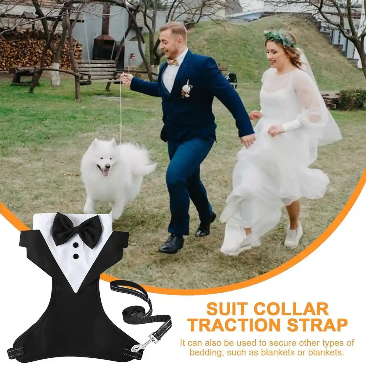 Adjustable Dog Harness and Leash Set with Bowtie No-Pull Vest Design