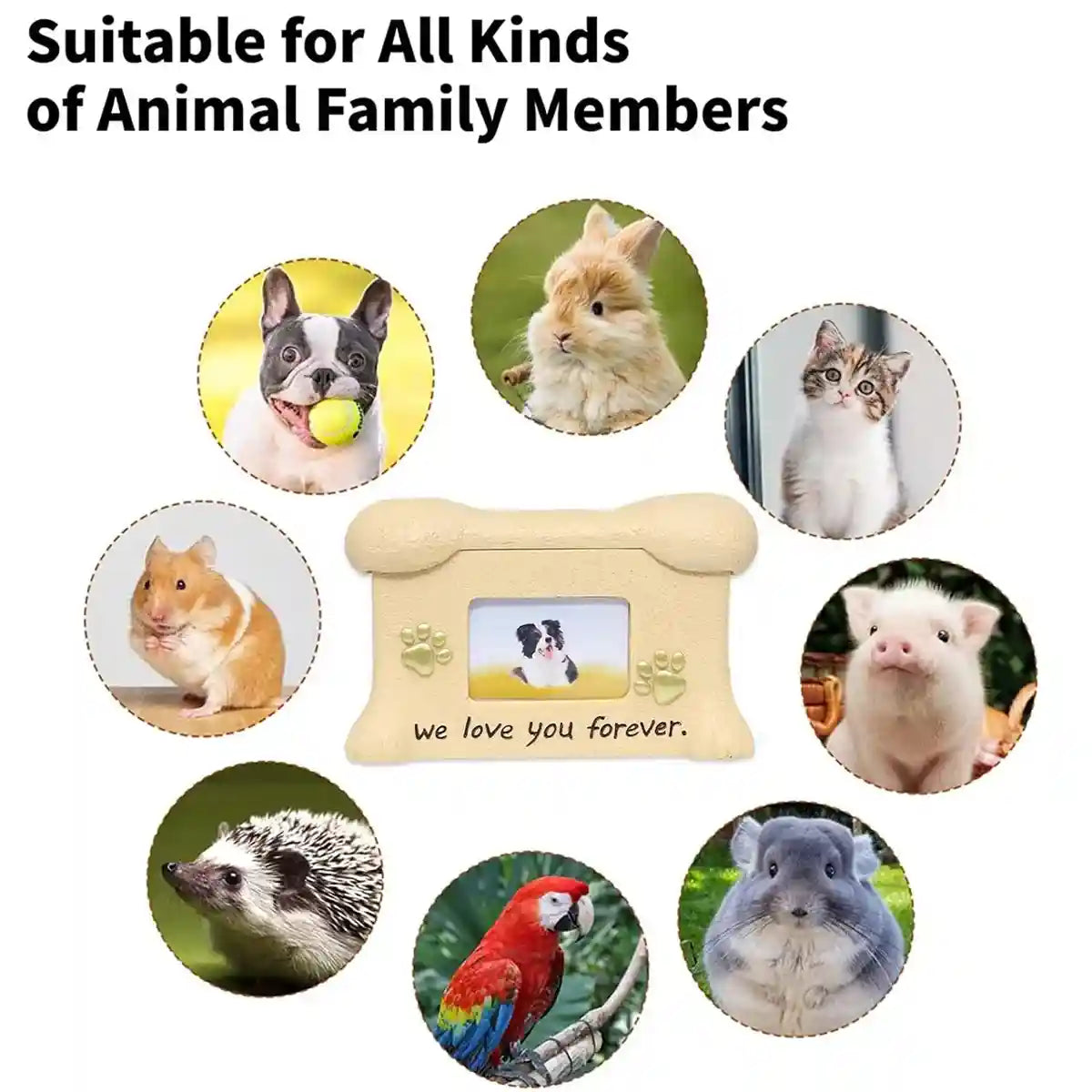 Heavy-Duty Dog Tie Out Stake & Cable Kit Secure Outdoor Tether