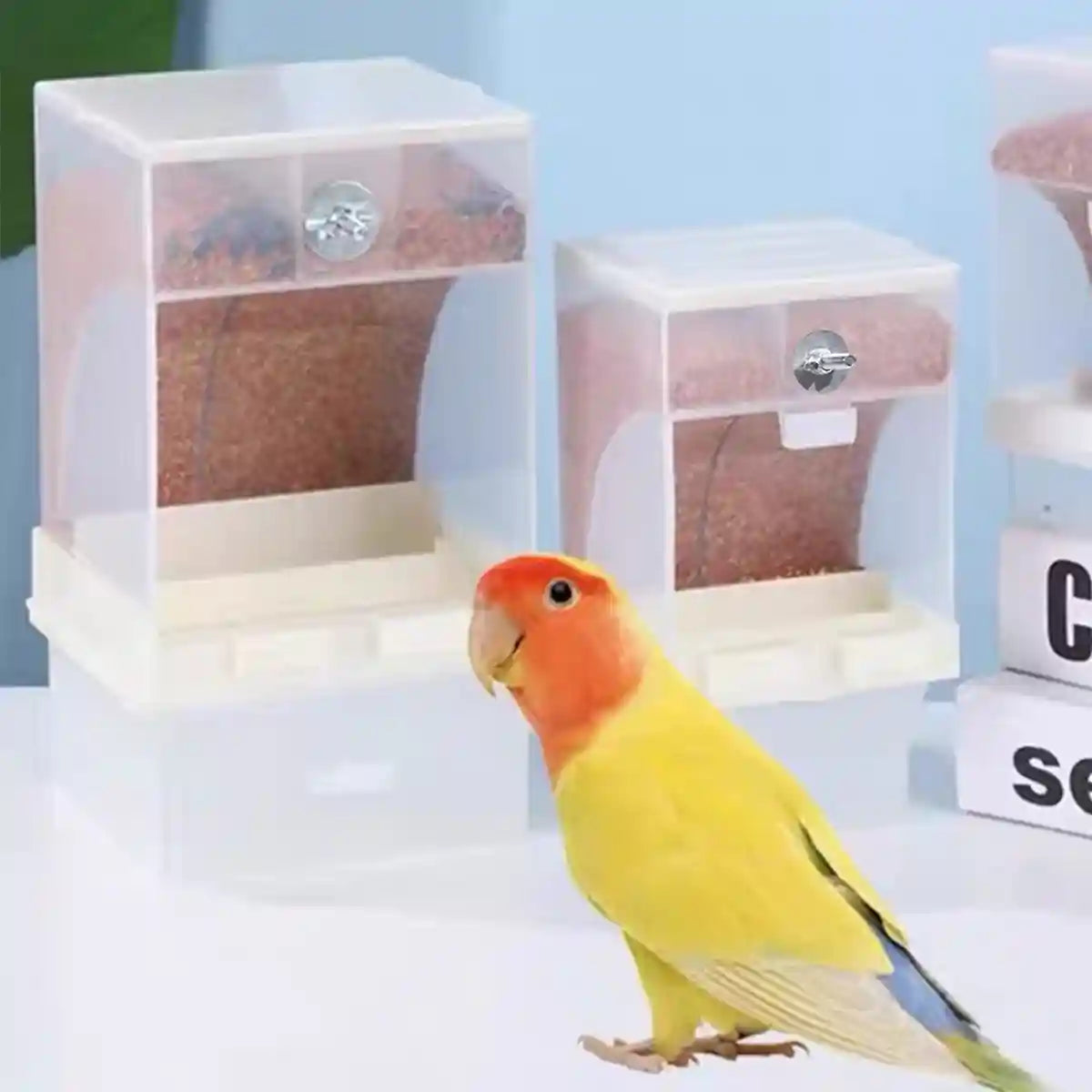 Automatic Bird Feeder with Double Grid and Easy-Clean Tray