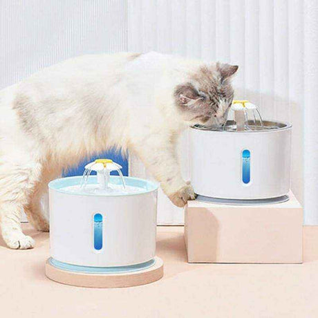 LED Automatic Pet Water Fountain for Hydrated Pets