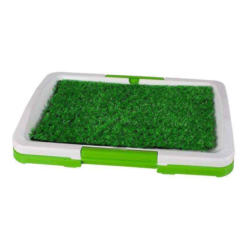 Absorbent Puppy Pee Pads for Potty Training