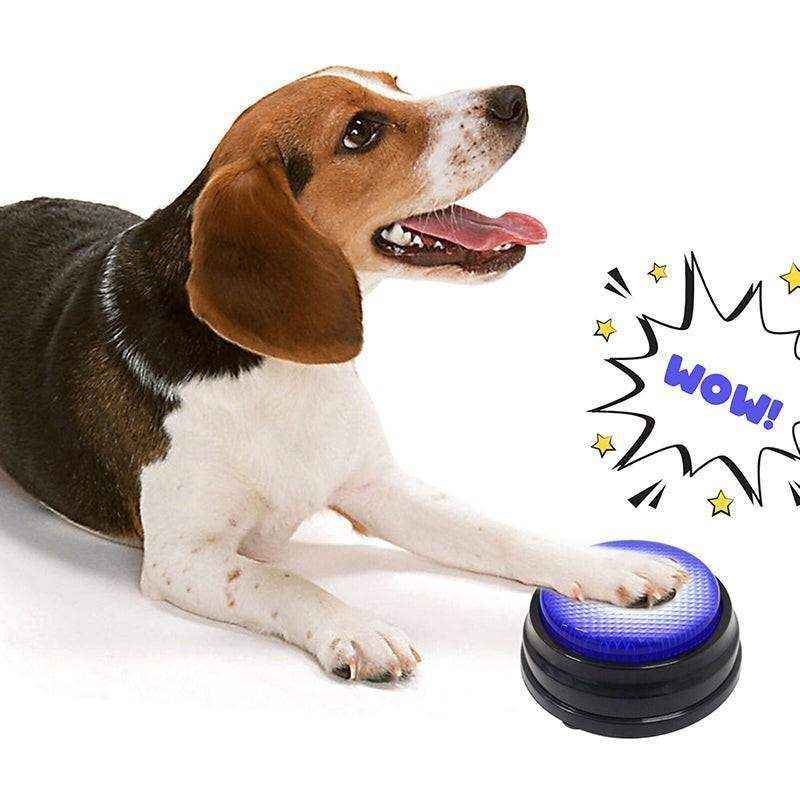 Recordable Talking Buttons For Pet Training 4 Colours