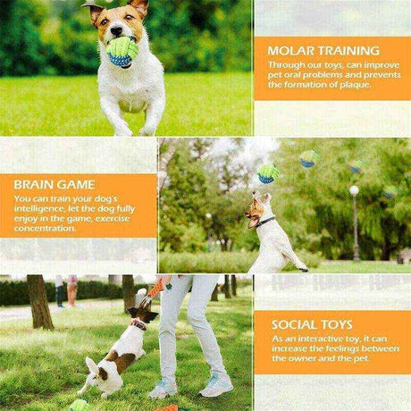 Durable Dog Chew Toys