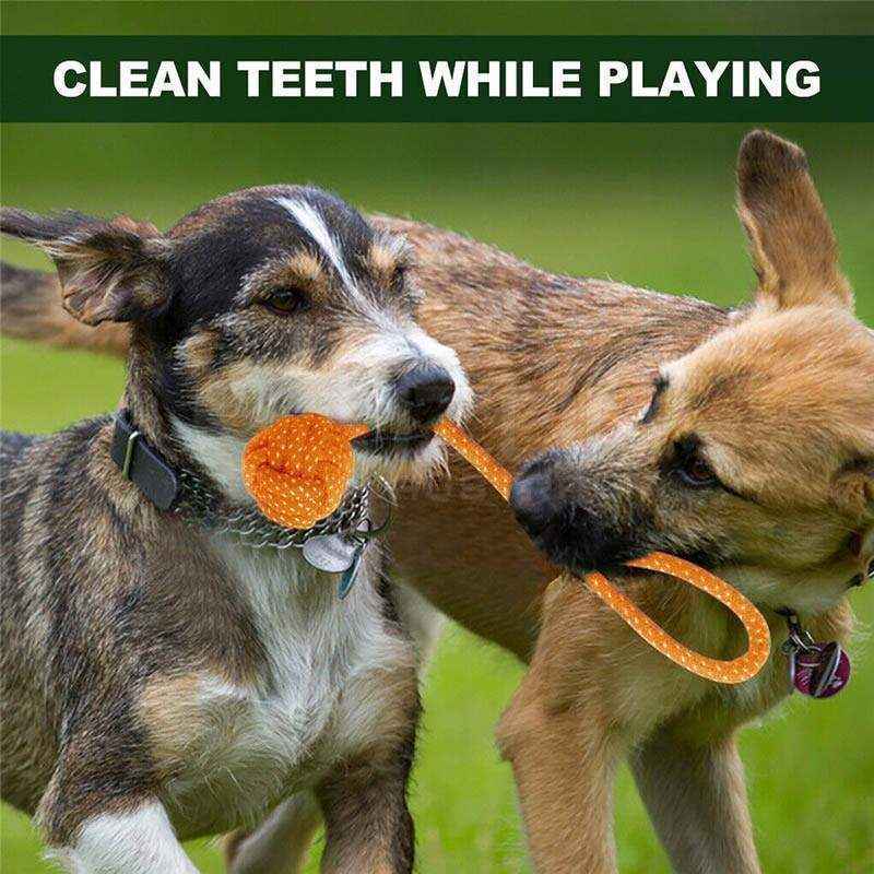 Durable Dog Chew Toys