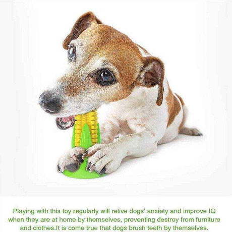 Puppy Teething Toys for Soothing Relief