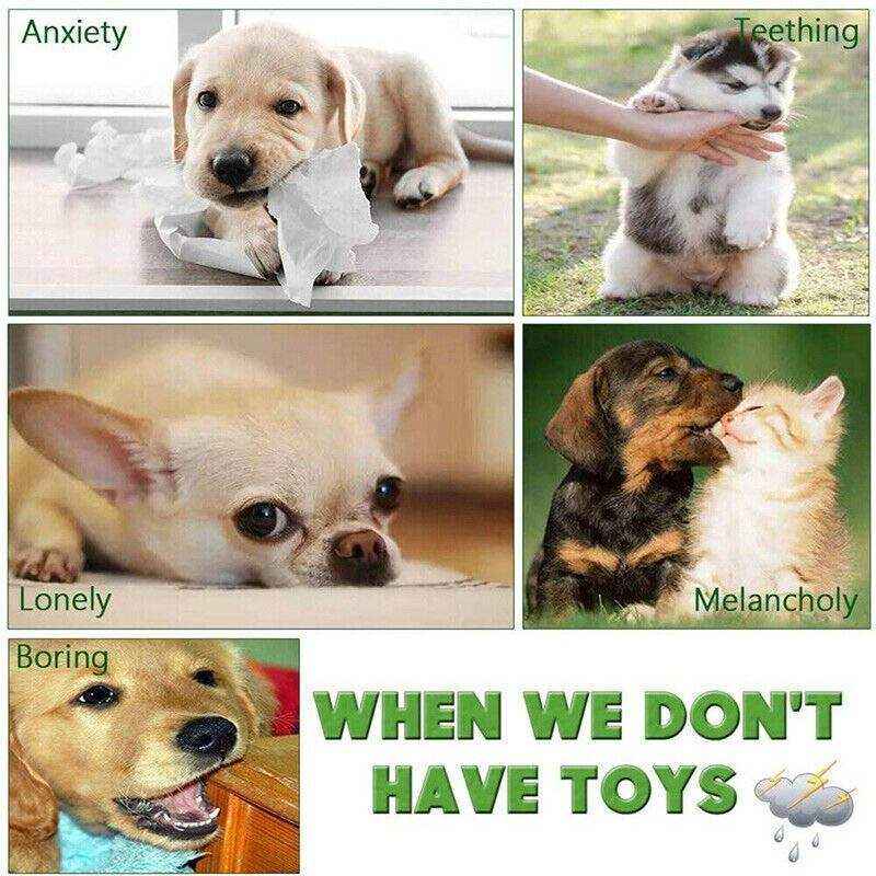 Durable Dog Chew Toys