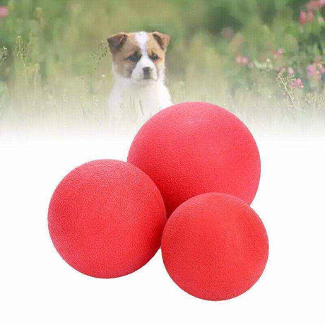 Dog Ball Toys for Interactive Play