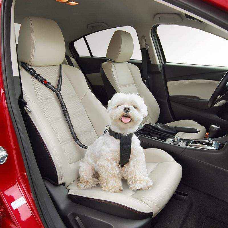 Pet Car Seat Belt Elastic 4 Colours