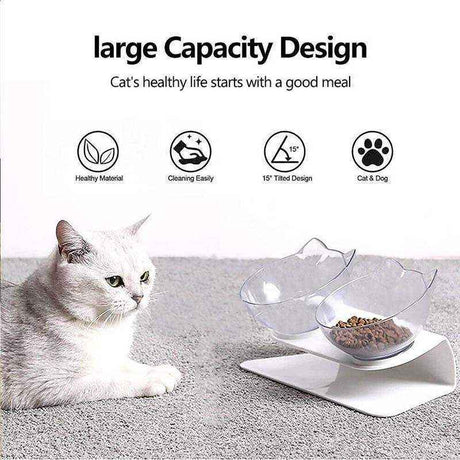 Modern and durable Raised Dog Bowls for improved pet dining