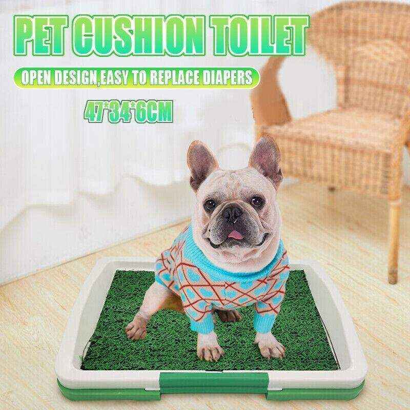 Absorbent Puppy Pee Pads for Potty Training