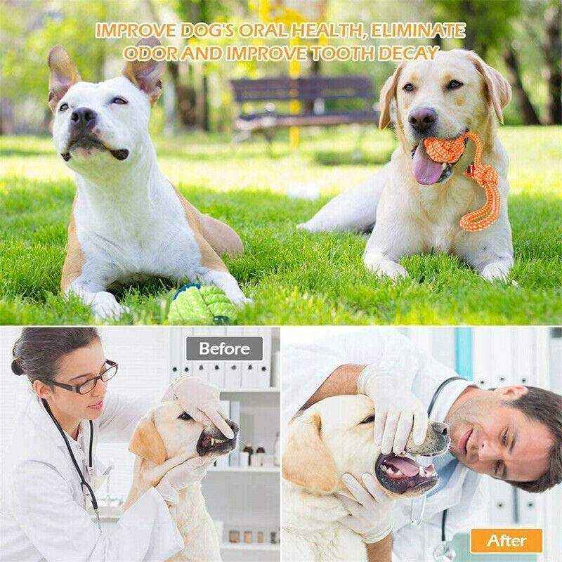 Durable Dog Chew Toys