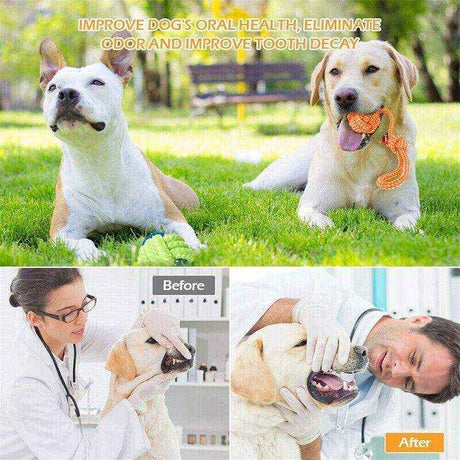 Durable Dog Chew Toys