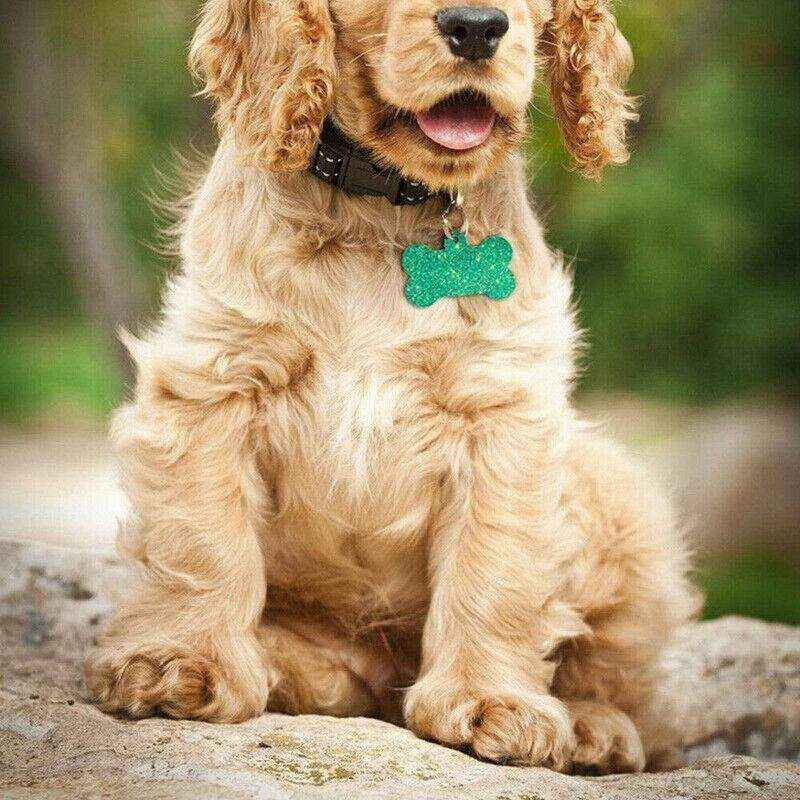 Silicone Mold for DIY Dog Tag Resin Crafts Bone Shape Design