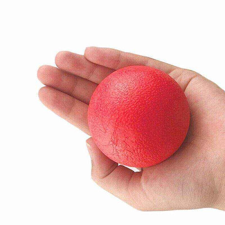 Dog Ball Toys for Interactive Play