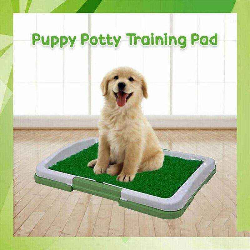 Absorbent Puppy Pee Pads for Potty Training