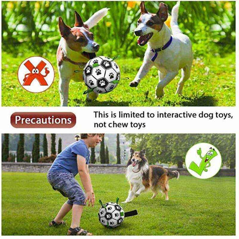 Dog happily playing with an Interactive Dog Soccer Ball outdoors