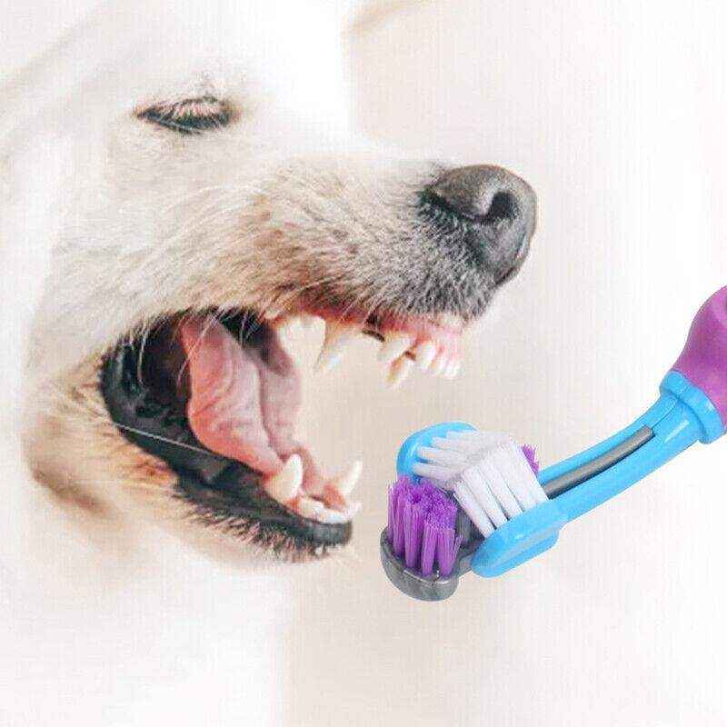 Triple-head dog toothbrush for pet dental care