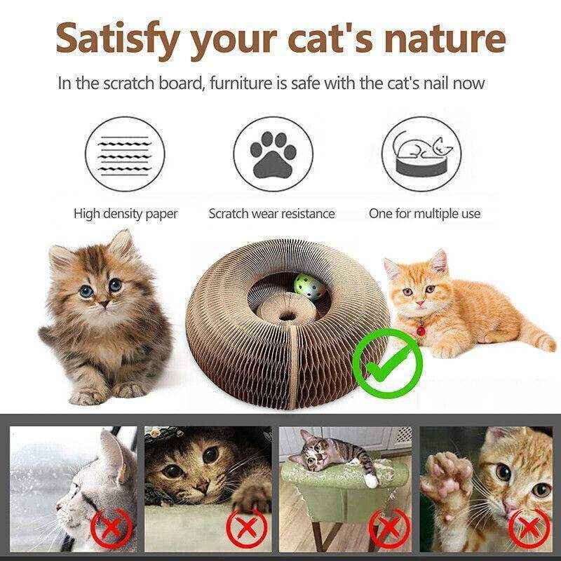Multifunctional Cat Scratch Toy for Play Rest and Claw Care
