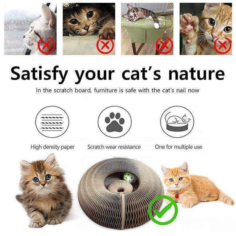 Multifunctional Cat Scratch Toy for Play Rest and Claw Care