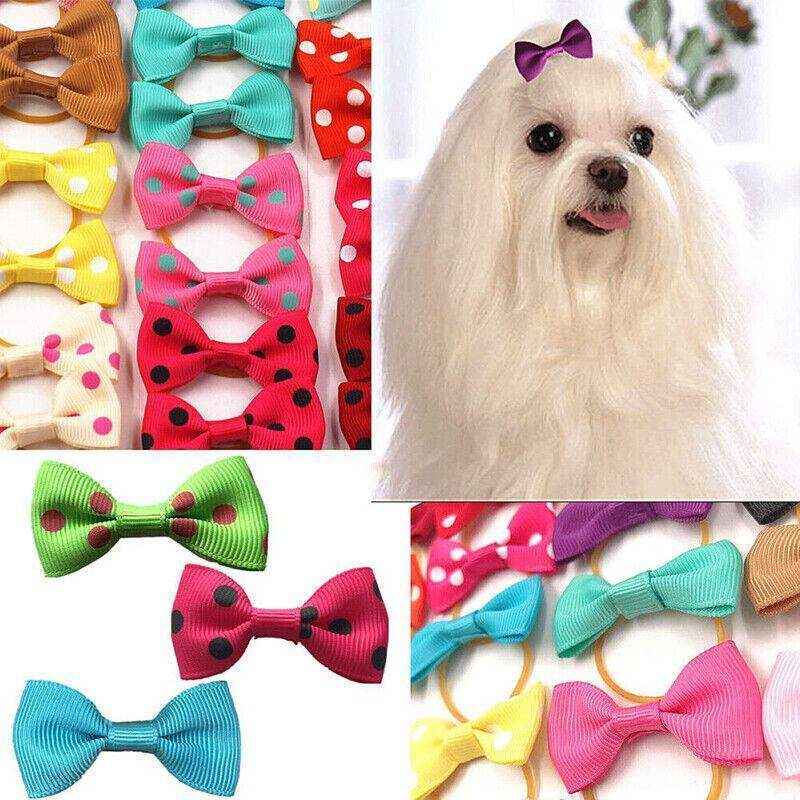 Assorted Dog Hair Bows