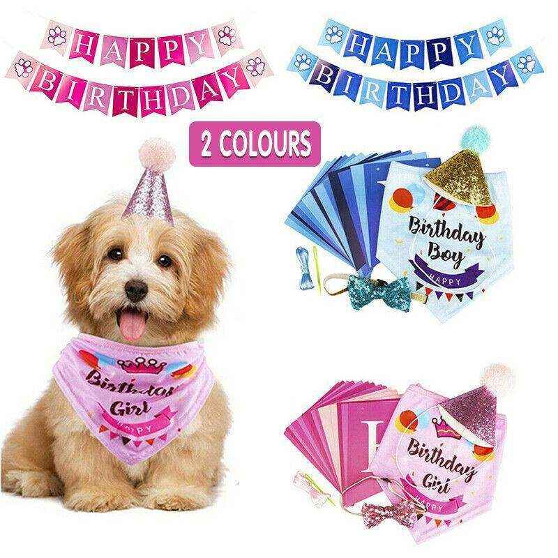 Complete Dog Party Kit with decorations, toys, and treats