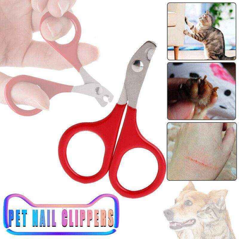 Pet Nail Clippers for cats, dogs, birds, and small animals â Stainless steel, ergonomic design.