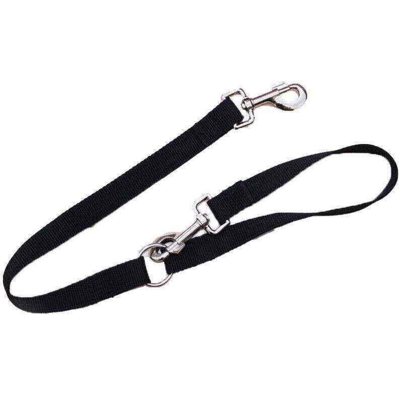 Tangle-Free Double Dog Lead for Two Pets Walking Convenience