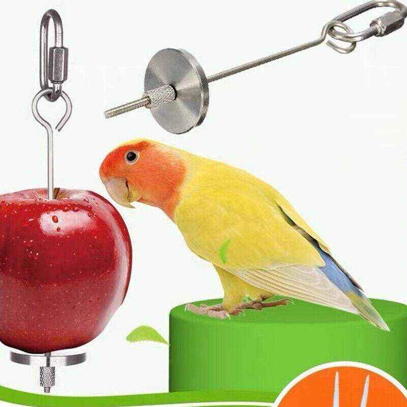 Durable Stainless Steel Bird Skewer For Cage Feeding