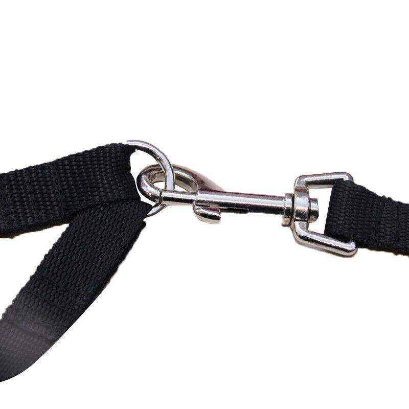 Tangle-Free Double Dog Lead for Two Pets Walking Convenience