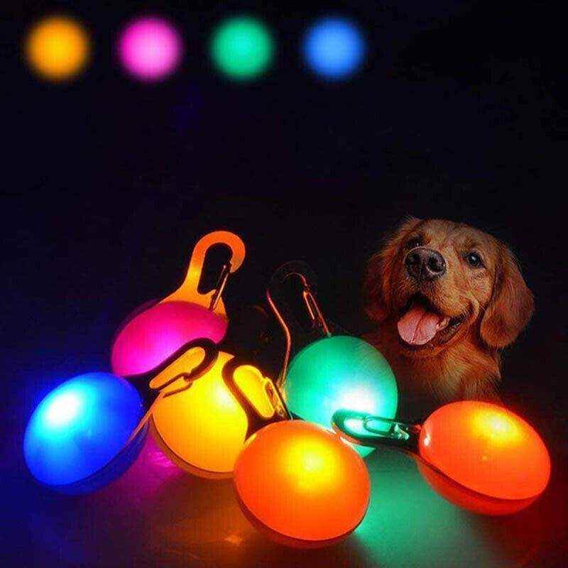 LED Pet Collar Pendant Leash Light for Night Safety
