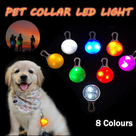 LED Pet Tag Pendant 8 Colours