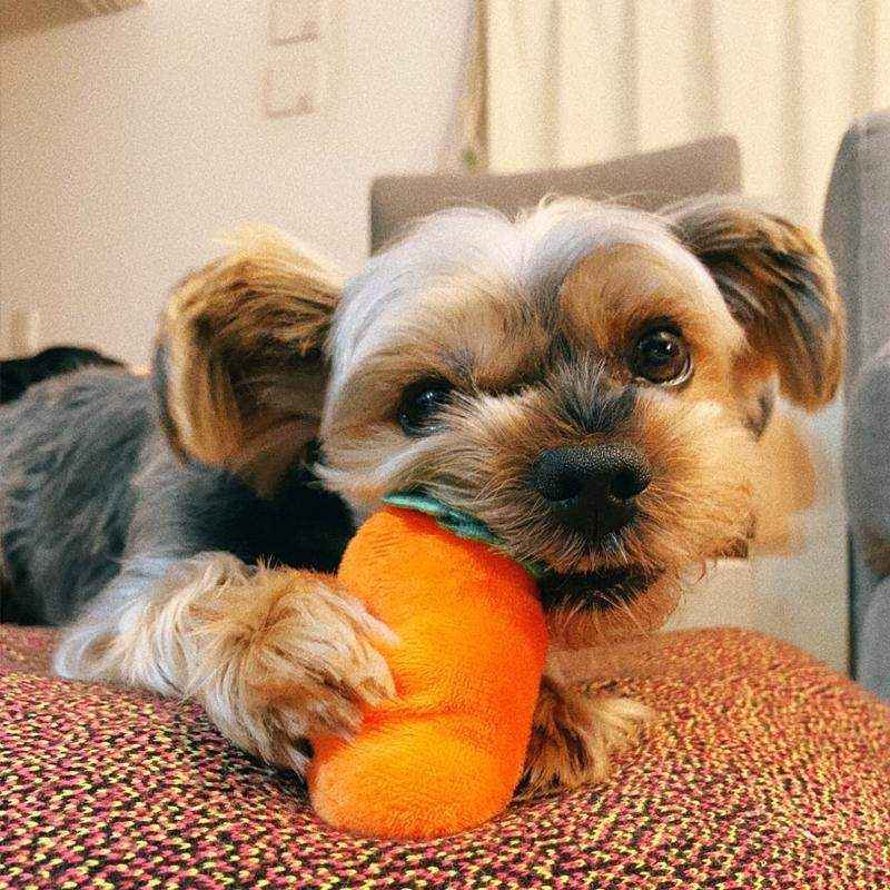 Dog Snuffle Toys Carrots Plush Dog Toy for Interactive Play and Foraging Skills