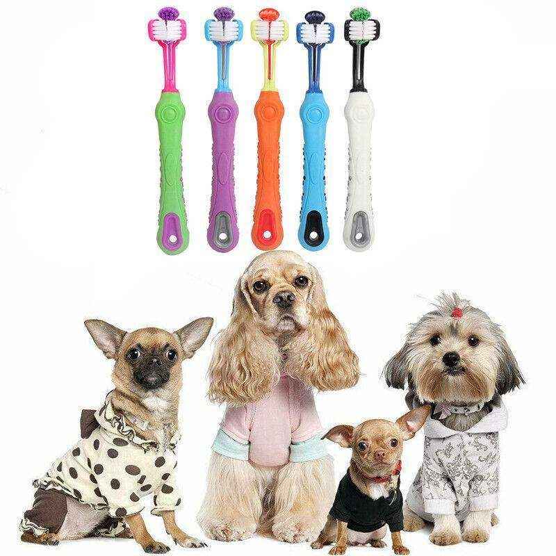 Three-Head Cleaning Tool for Pets with Soft Dog Toothbrush Design