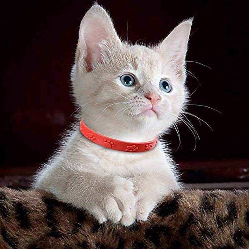 10PCS Adjustable Anti-Tick Cat Flea Collars
