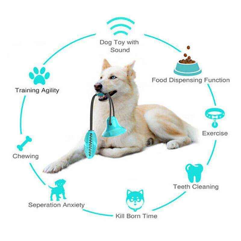 Interactive Floor Suction Cup Dog Chew Toy for Durable Play