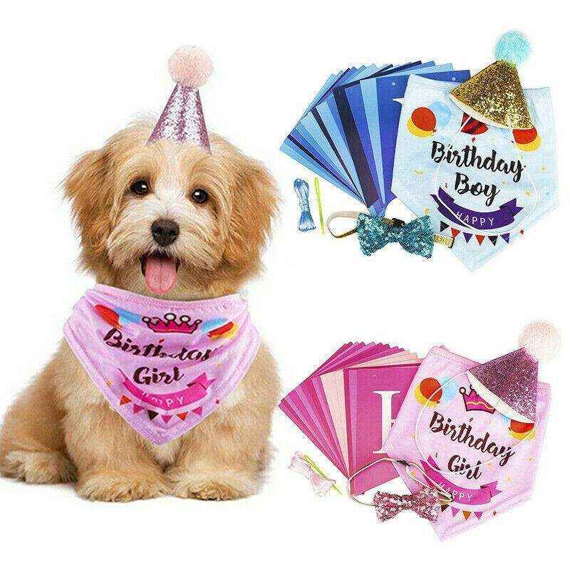 Complete Dog Party Kit with decorations, toys, and treats