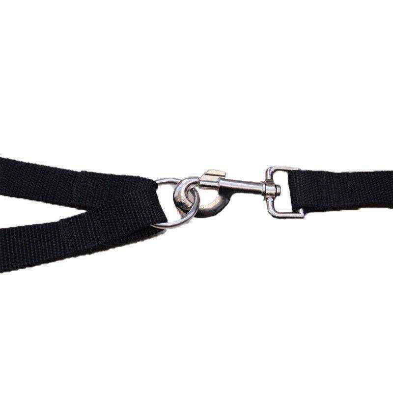 Tangle-Free Double Dog Lead for Two Pets Walking Convenience