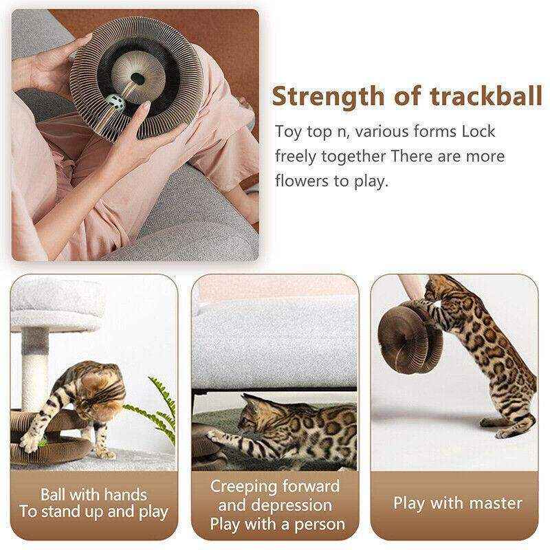 Multifunctional Cat Scratch Toy for Play Rest and Claw Care